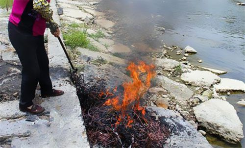 珠江電纜快訊|不懂法真可怕，露天燒電線=攤上大事